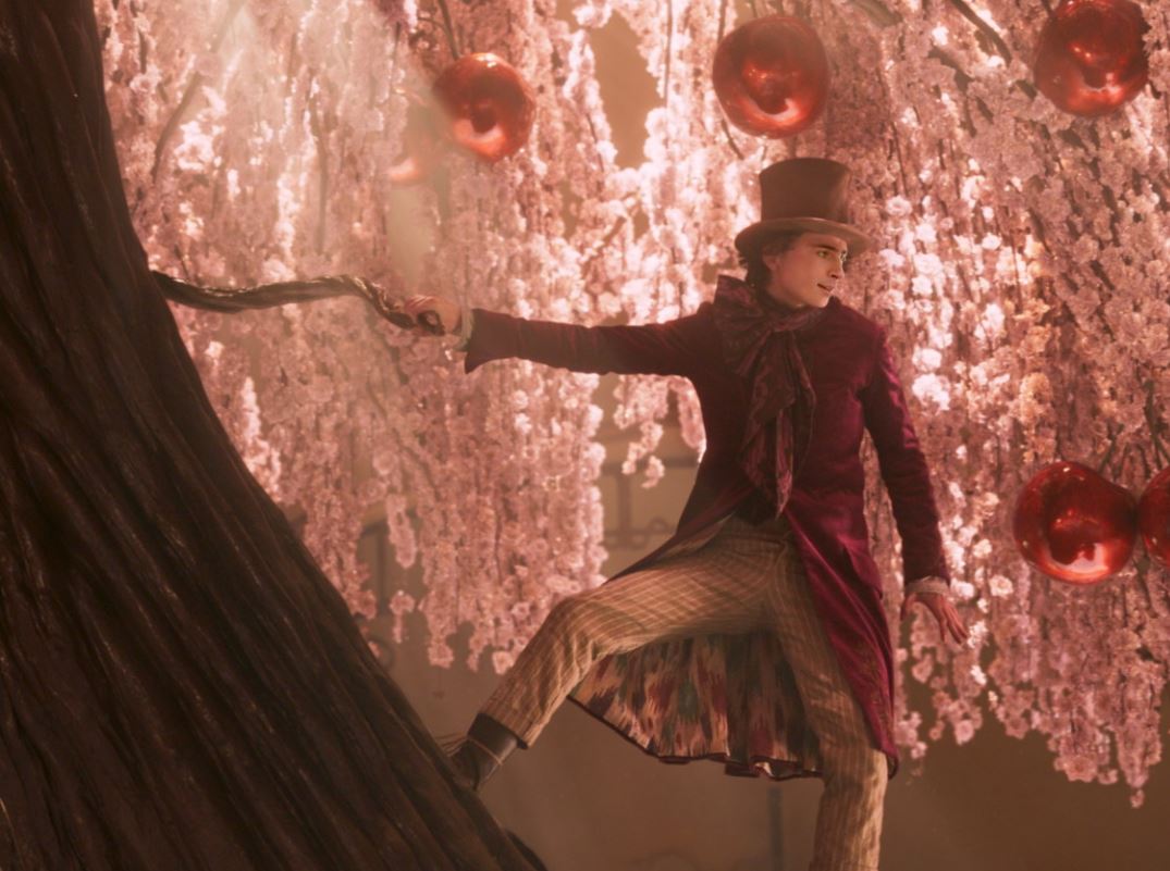 웡카 영화후기 티모시샬라메