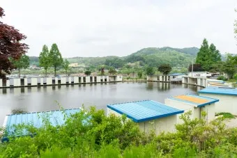 안성 가볼만한곳 추천 카페 맛집 아이랑 최신_8