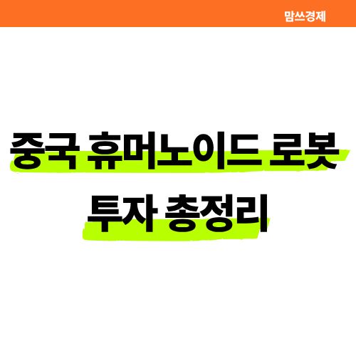 중국 휴머노이드 로봇 투자 총정리 썸네일
