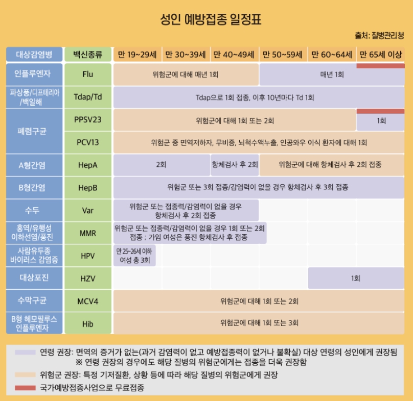 성인 예방접종 일정표