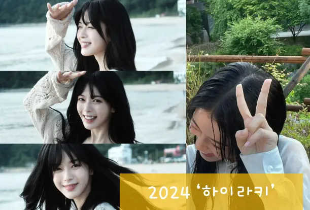 노정의 2024년 하이라키