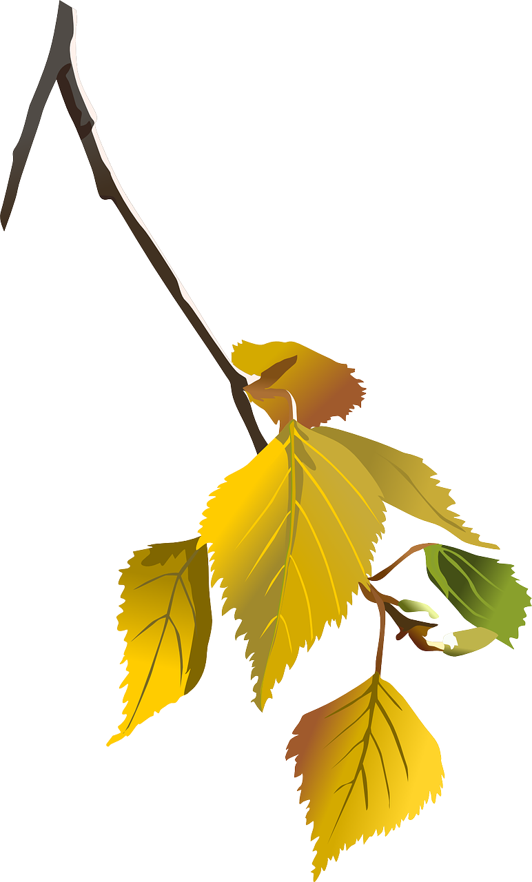 가을 가족 여행지 추천 best 5곳 (서울)