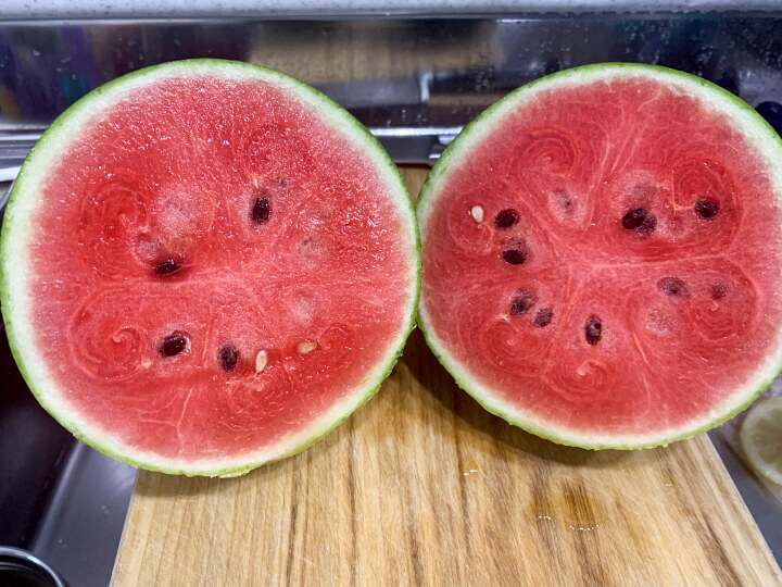 수박-단면