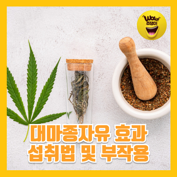 대마종자유의 효과와 가격, 섭취법 및 부작용 알아보기
