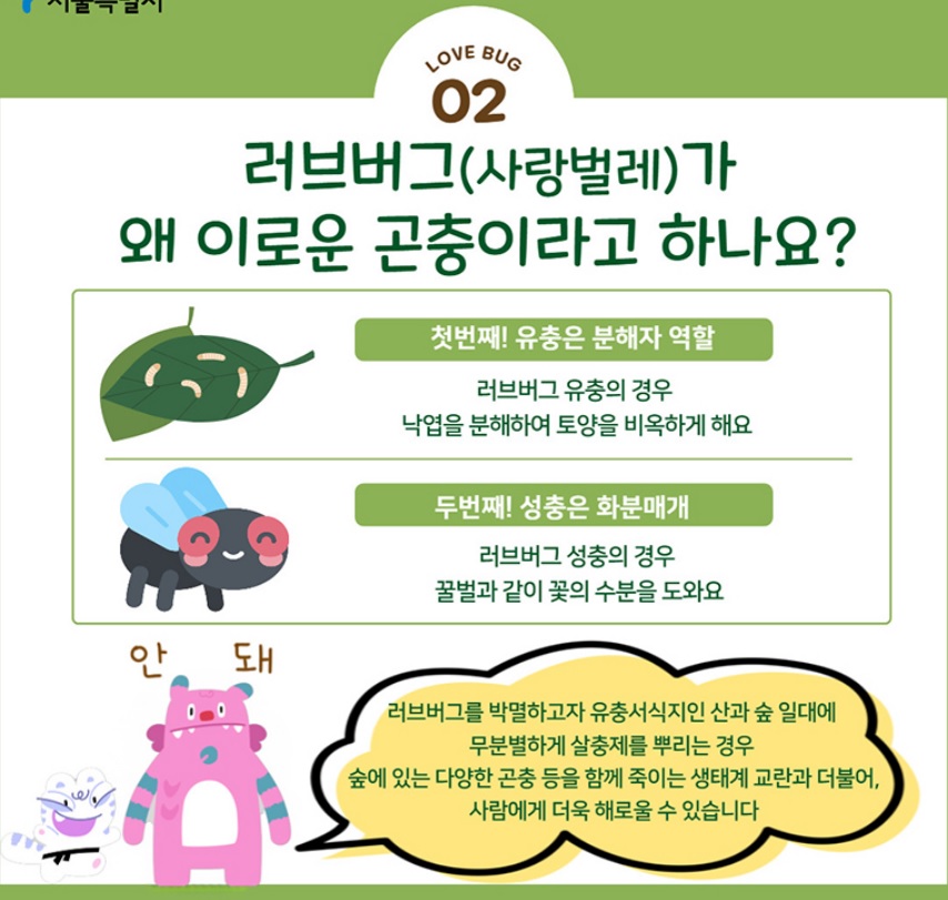 러브버그
