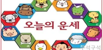 2025 띠별 운세 대박 띠 삼재띠 좋은 띠_16