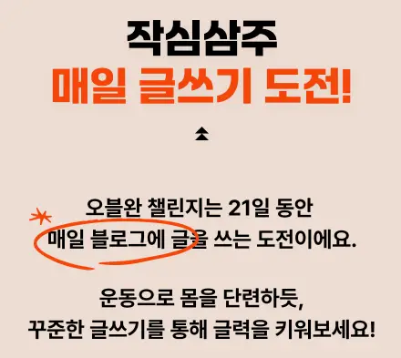 안내