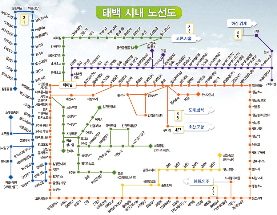 태백시 시내버스 노선도