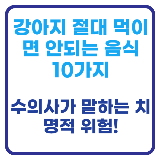 강아지 절대 먹이면 안되는 음식 10가지 (수의사가 말하는 치명적 위험!)
