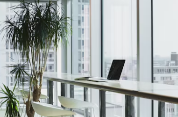 고용24 홈페이지 바로가기 https://www.work24.go.kr/