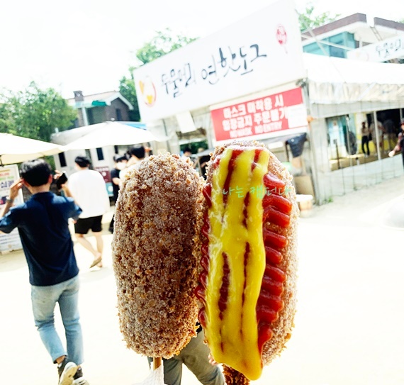 두물머리-연잎-핫도그