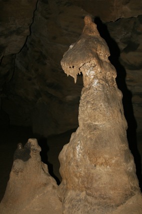 평창 백룡동굴 예약 방법