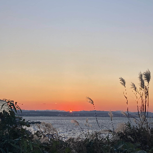 포항 여행 사진