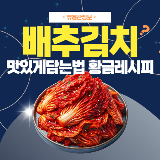 배추김치-완성된-메인-요리-이미지