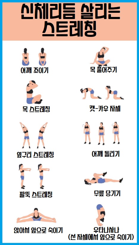 신체리듬 살리는 스트레칭