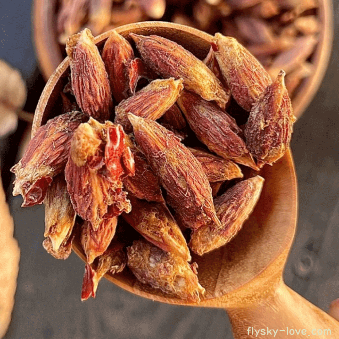 불면증에 효과적인 대추씨