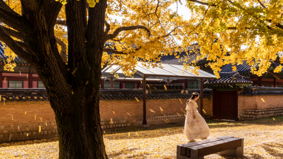 국내여행 한국의 아름다운 여행지