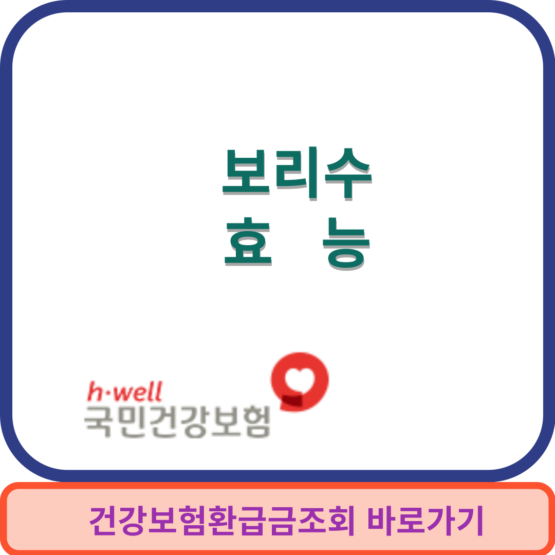 보리수효능썸네일