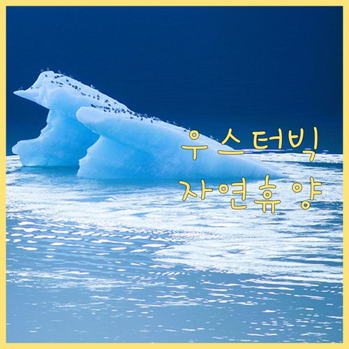 우스터빅 호텔 추천! 🏞️ 자연 속 ..