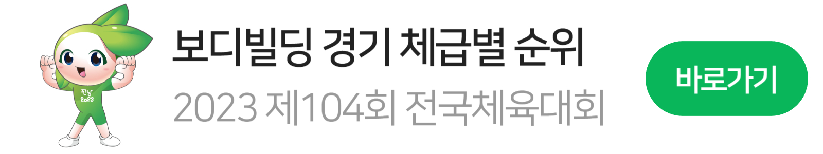 전국체전 보디빌딩 마스코트 3