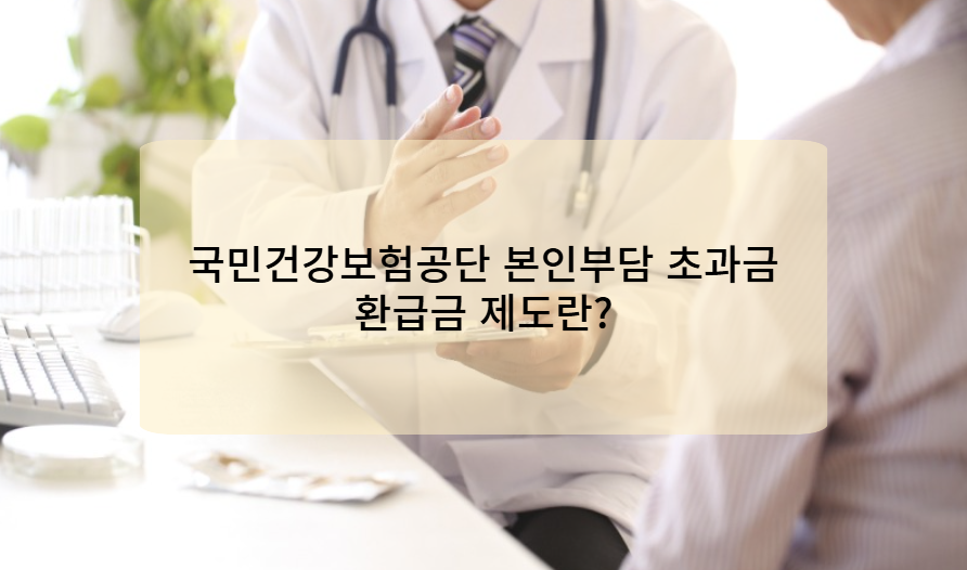 국민건강보험공단 본인부담 초과금 환급금 제도란?