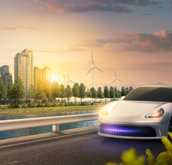 더블유씨피 주가전망