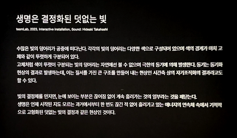 일본 도쿄 팀랩플래닛 관람-평면화하는 세 가지 색과 모호한 아홉 가지 색 설명