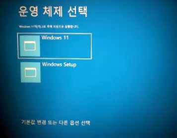 운영 체제 선택 화면