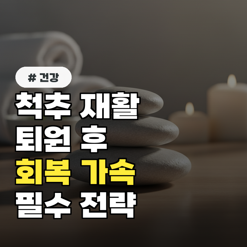 척추 재활병원, 퇴원 후 회복 가속화시키는 필수 전략 3가지