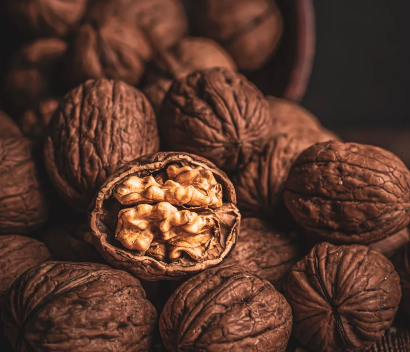 식물성 오메가3 음식