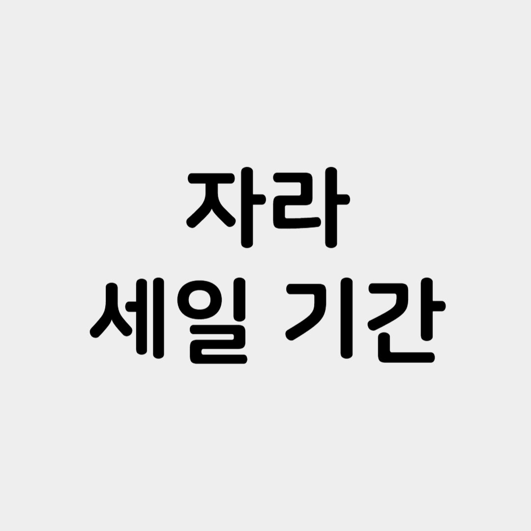 2025 자라 세일 기간