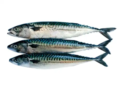 위암에 좋은 음식 나쁜 음식 