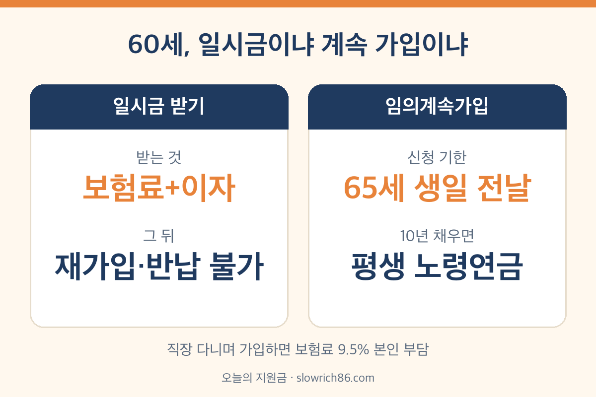 국민연금 일시금 임의계속가입 비교 65세 10년