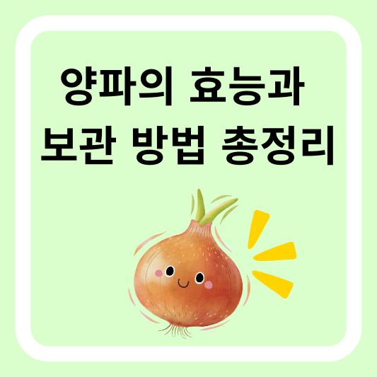 양파의 효능과 보관 방법 총정리