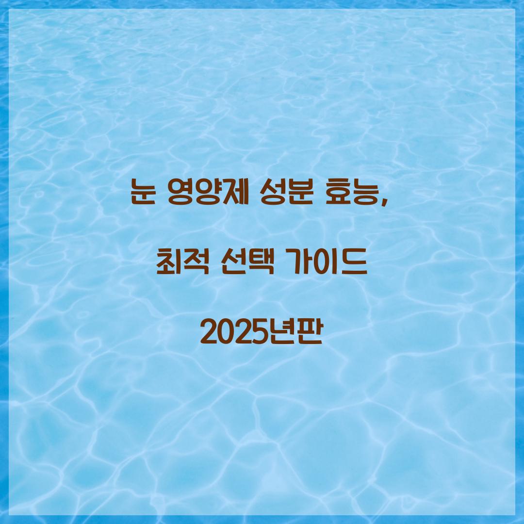 눈 영양제 성분 효능