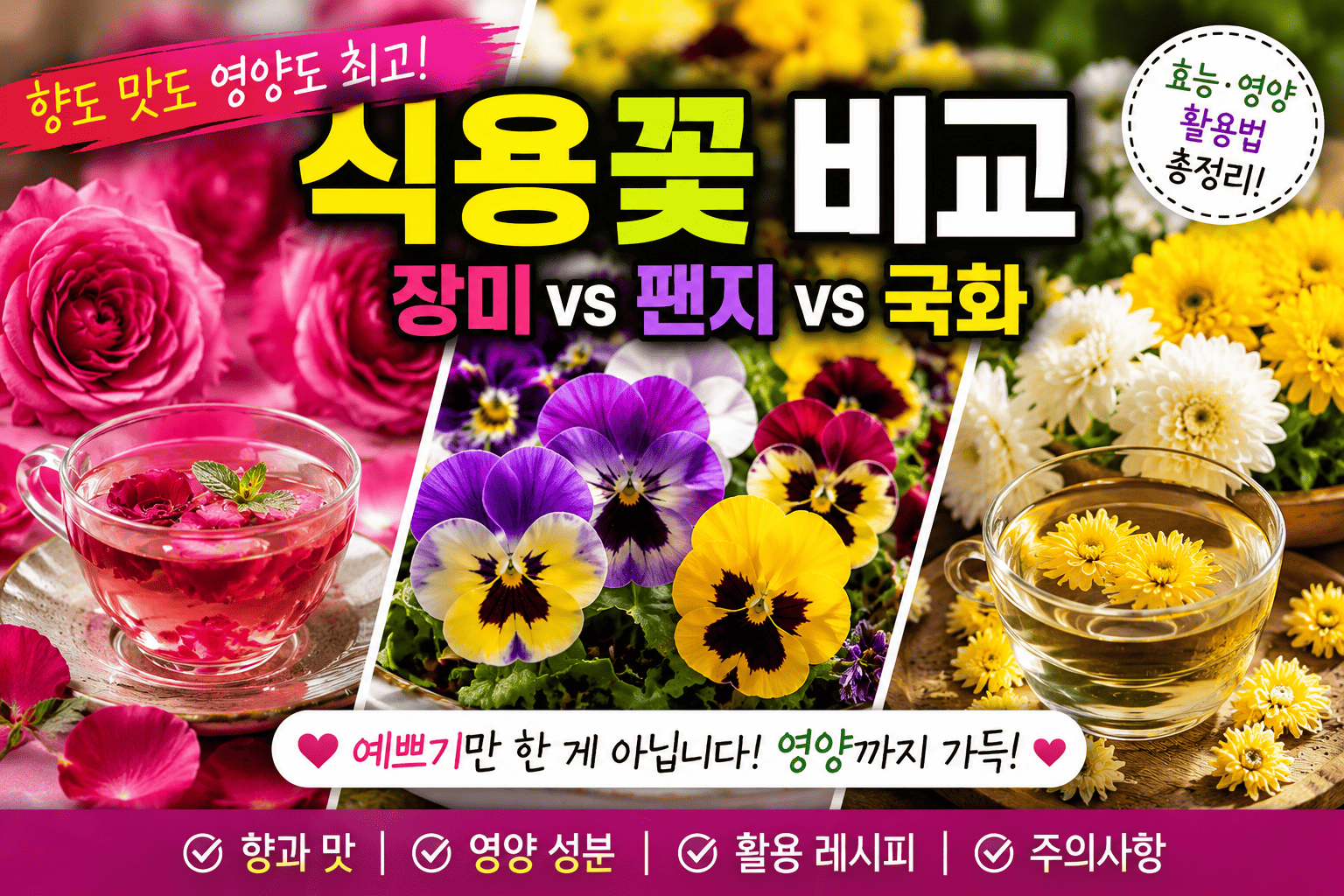 식용 꽃 비교 (장미, 팬지, 국화)