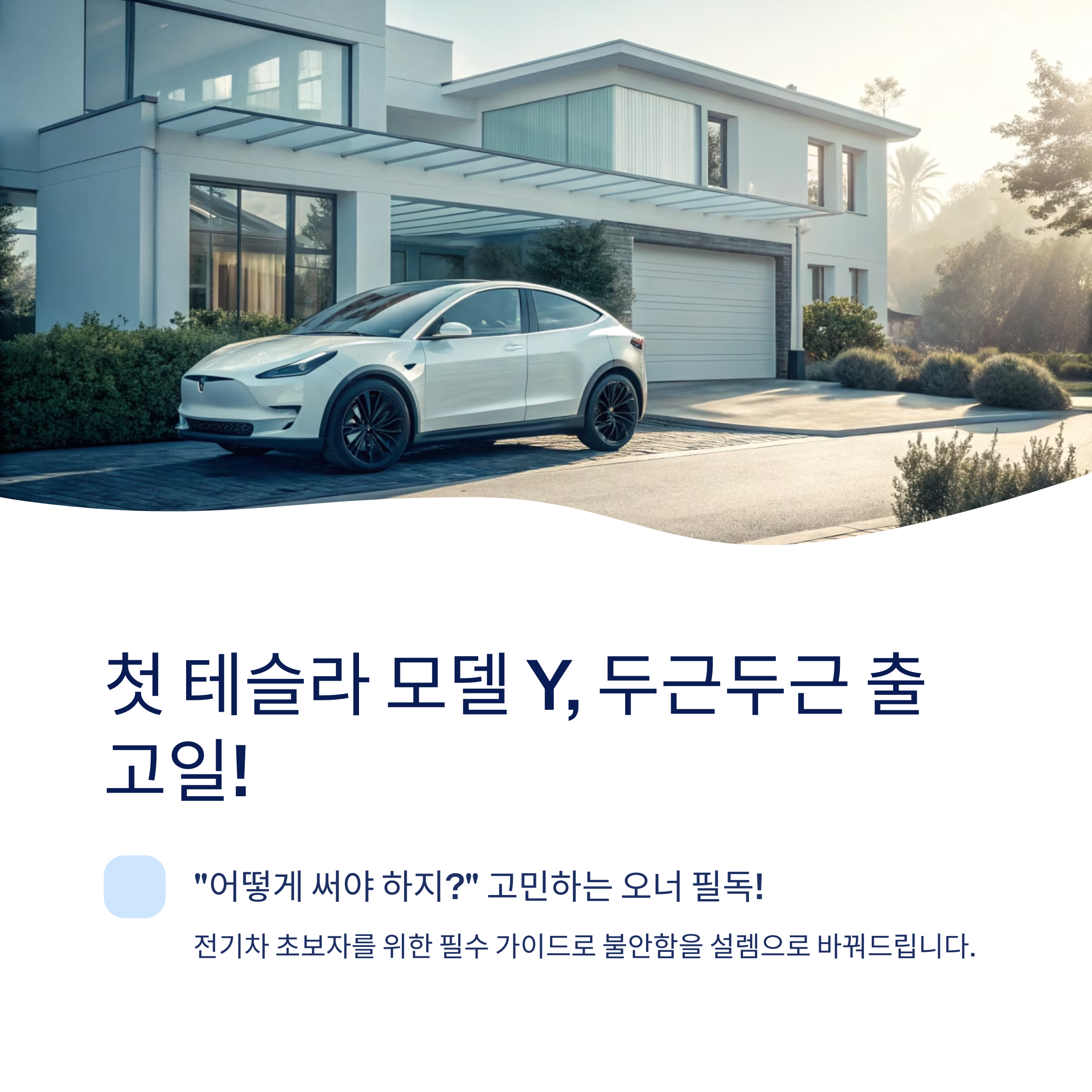 테슬라 초보자를 위한 현실 꿀팁