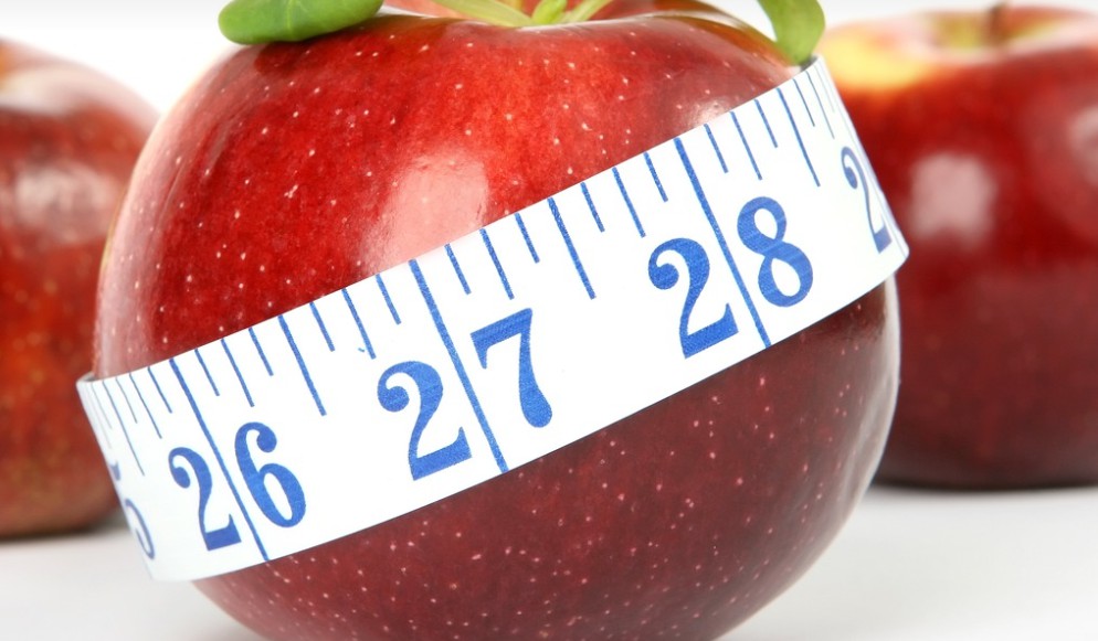 BMI 기준표 계산기 