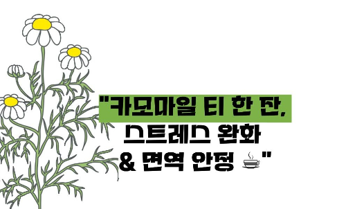 루푸스병에 좋은 음식