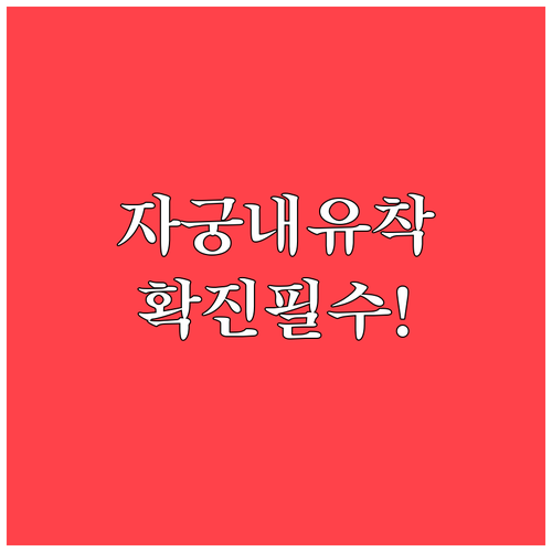 자궁내 유착 확진을 위한 골든 스탠다..
