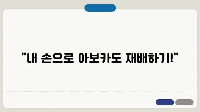 집에서 아보카도 키우기