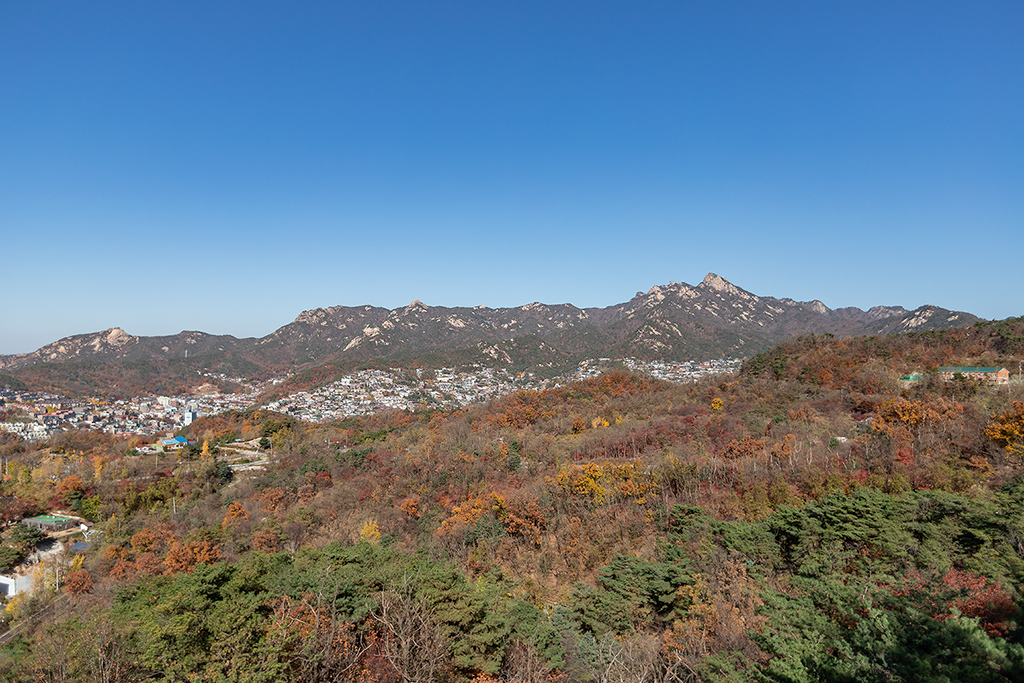 한양도성길
백악코스
서울여행
서울단풍
백악산
북악산
가을단풍
한양도성
북한산