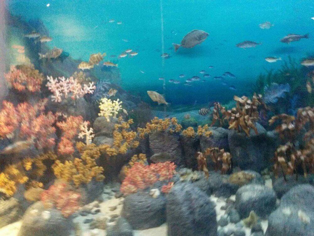 제주도 박물관 추천 (위치&amp;#44; 이용시간&amp;#44; 예매방법)