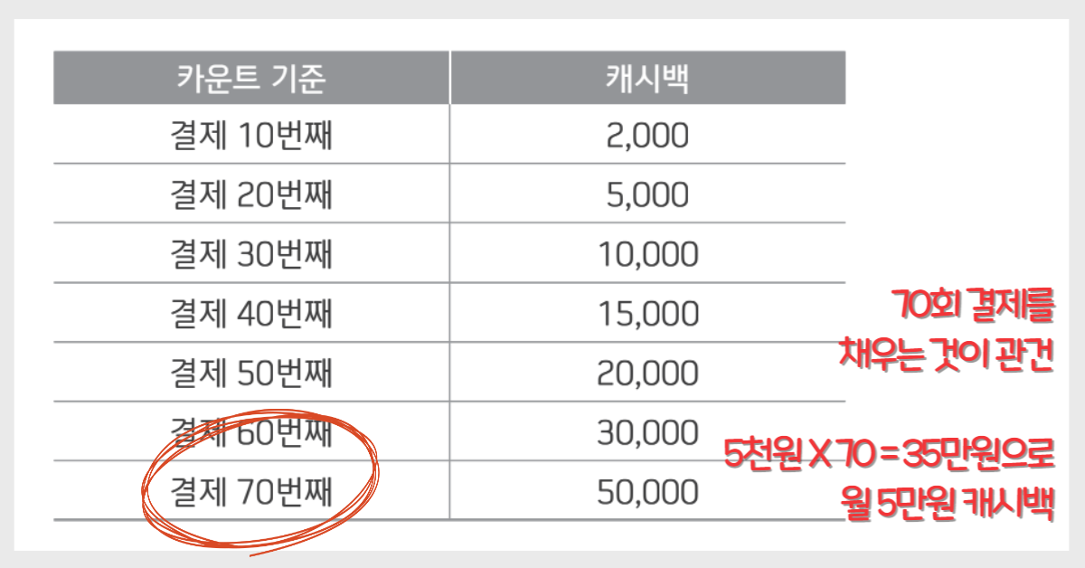 카카오뱅크 신한카드 결제횟수별 캐시백 구간
