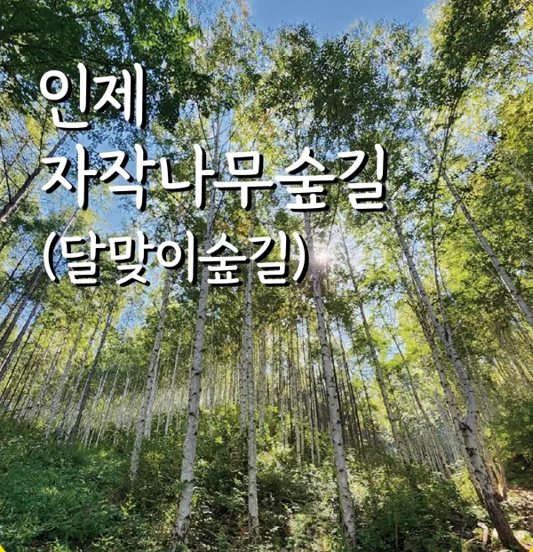 걷기좋은 명품 숲길 30선 숨겨진 코스_3