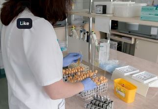 대장내시경 전 음식