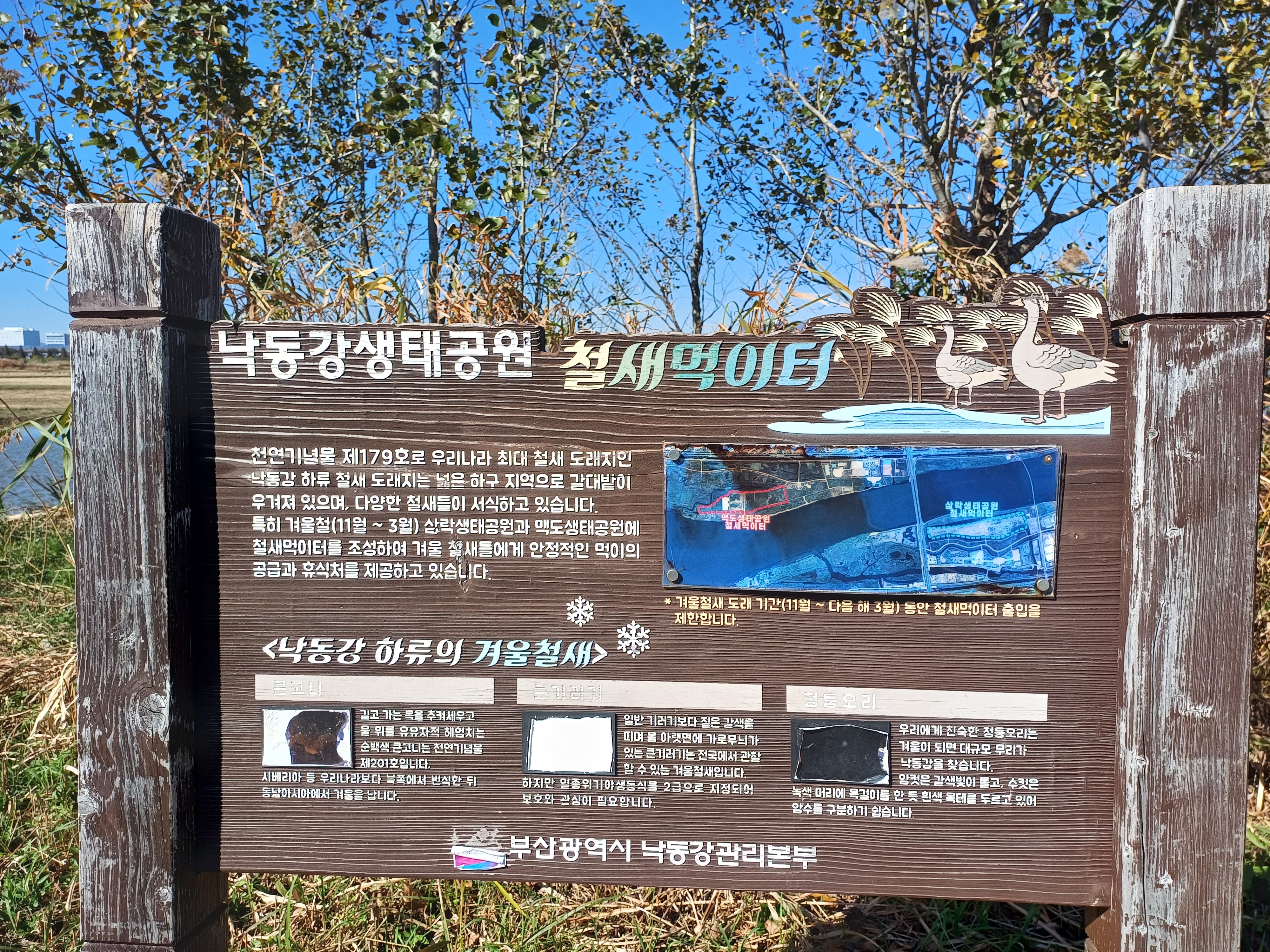 feeding grounds at the Nakdong River Ecological Park