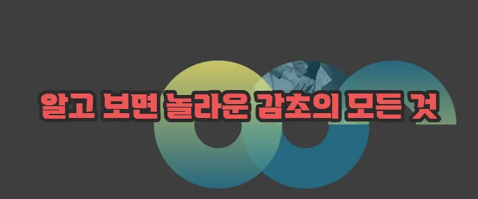 감초 효능 부작용 섭취방법 알아볼게요