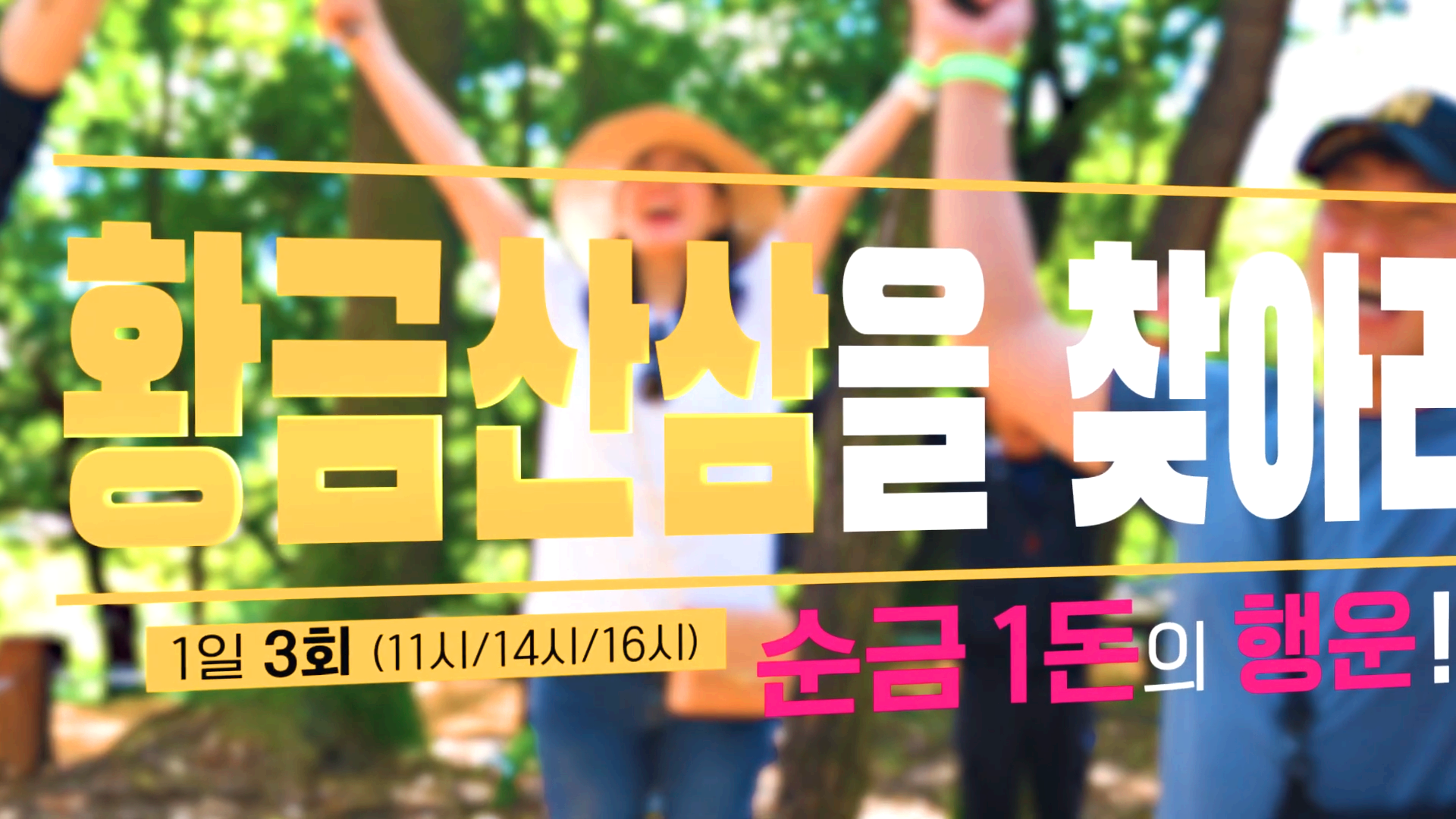 함양산삼축제