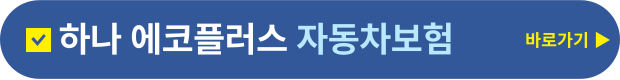 다이렉트자동차보험 바로가기